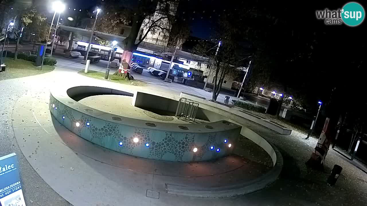 Web kamera Fontana piva – Zeleno zlato – Žalec