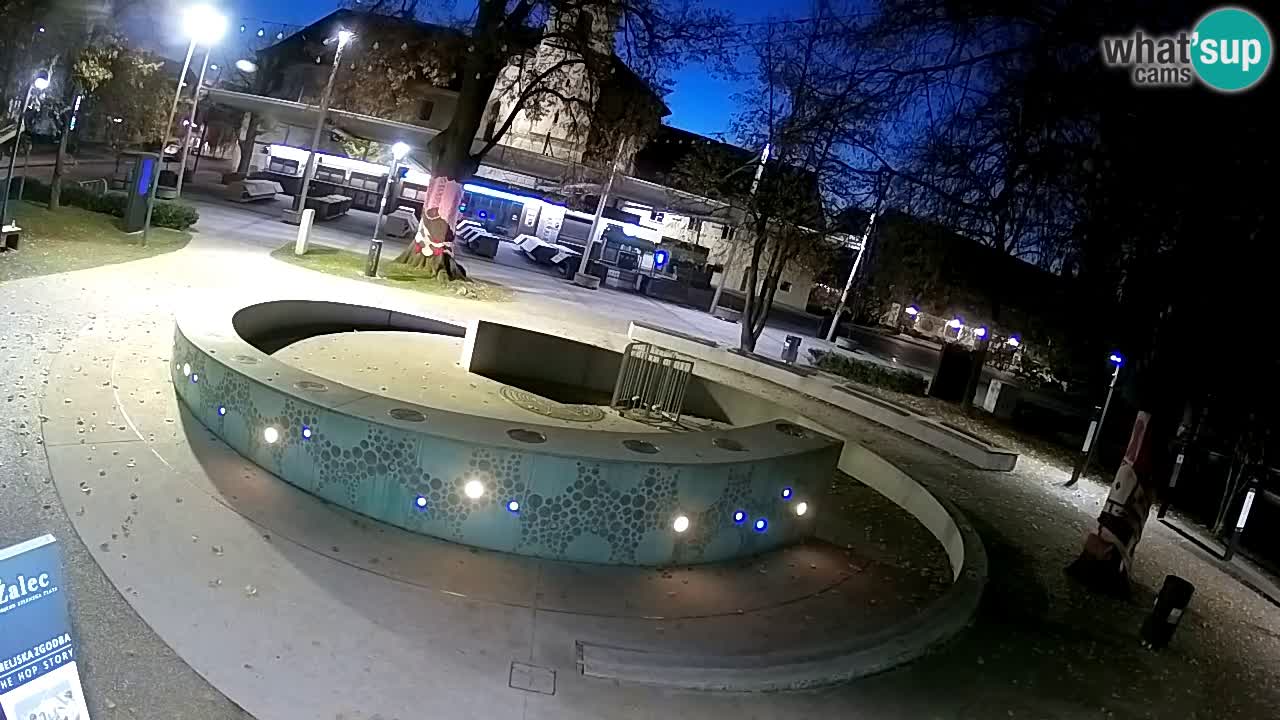 Web kamera Fontana piva – Zeleno zlato – Žalec