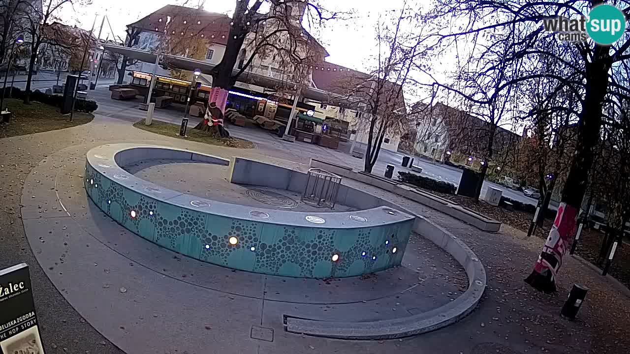 Web kamera Fontana piva – Zeleno zlato – Žalec