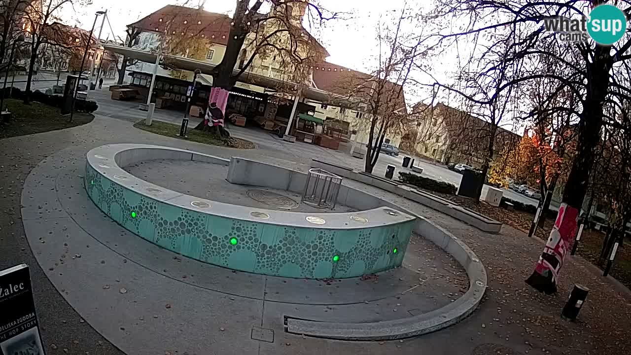 Bier-Springbrunnen Webcam Žalec – Grünen Goldes