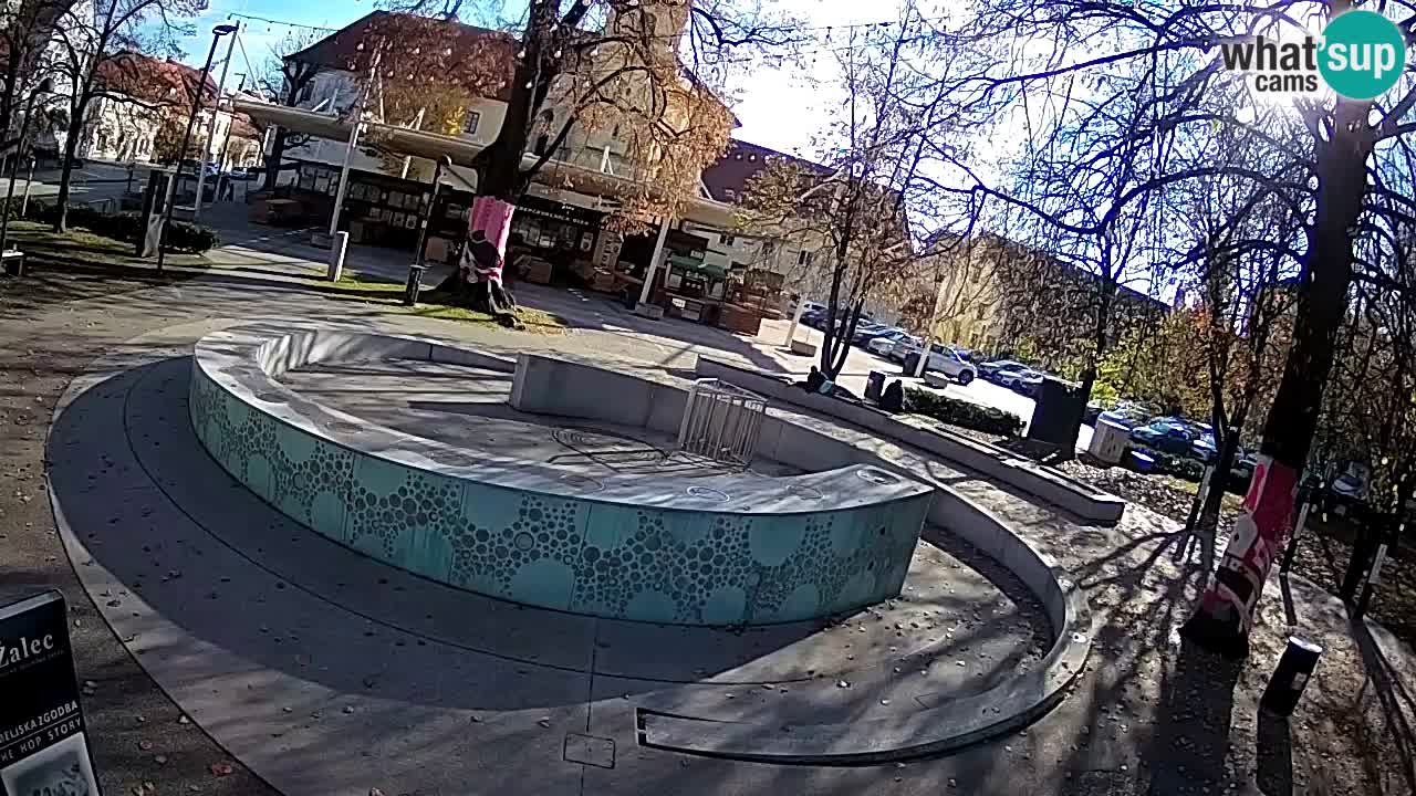 Bier-Springbrunnen Webcam Žalec – Grünen Goldes