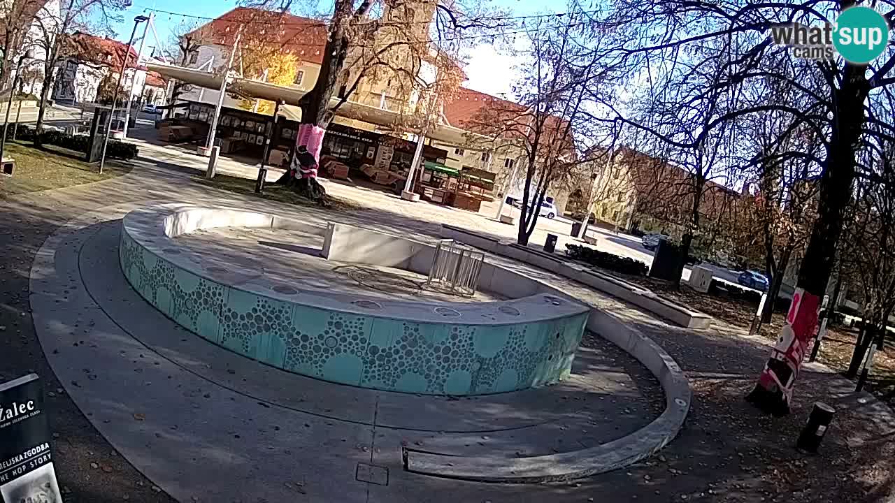 Web kamera Fontana piva – Zeleno zlato – Žalec