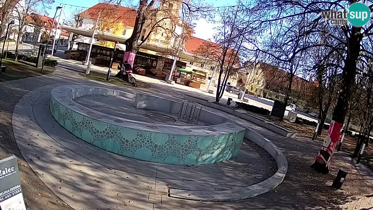 Spletna kamera Fontana Piv – Zeleno zlato Žalec