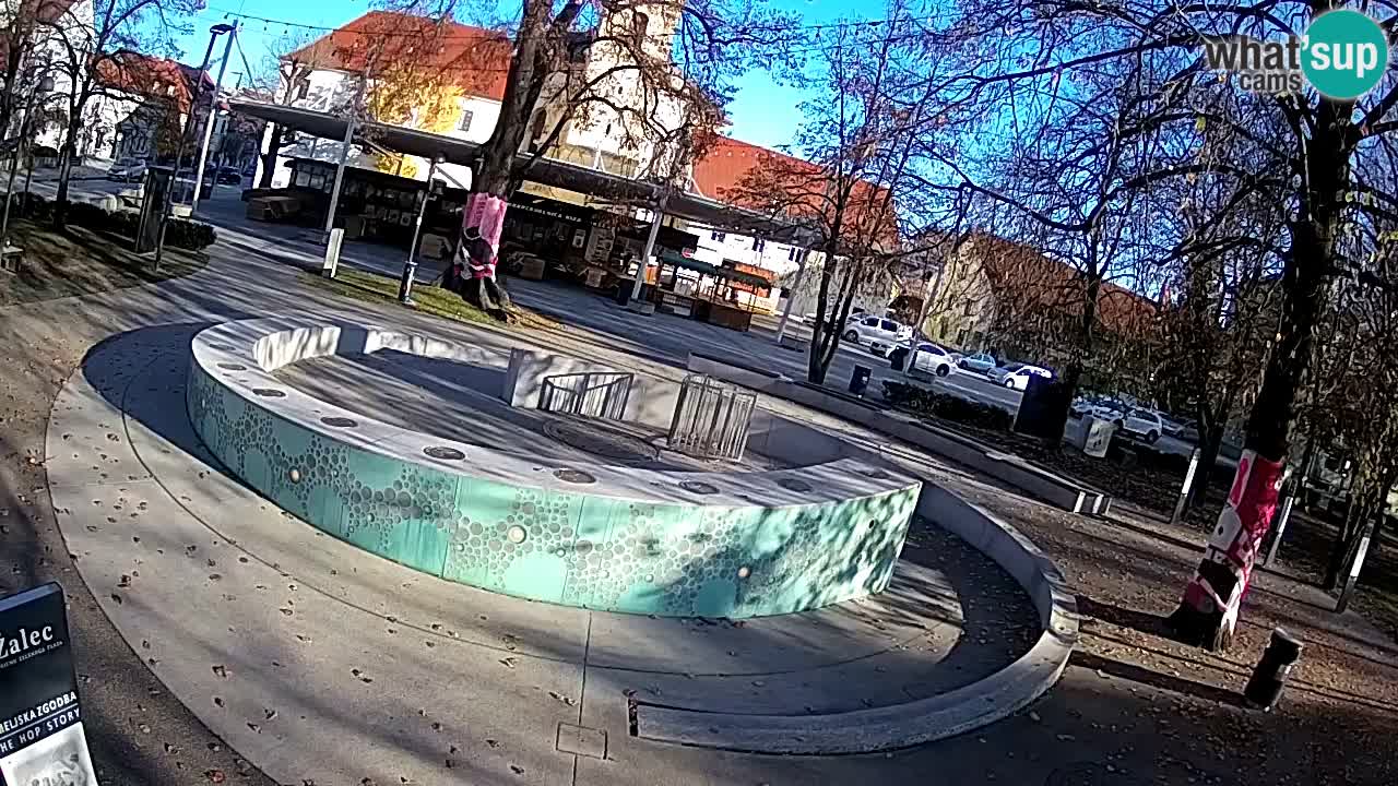 Web kamera Fontana piva – Zeleno zlato – Žalec