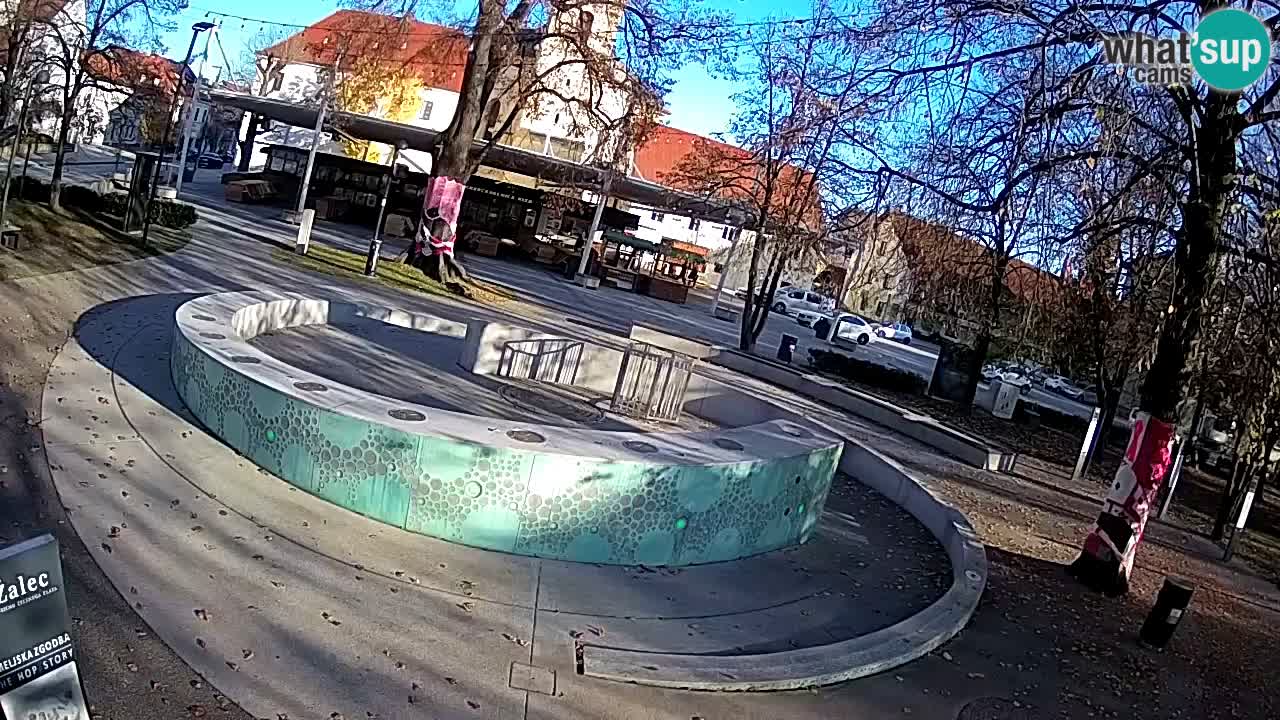 Camera en vivo Fuente de cerveza – Oro verde – Žalec