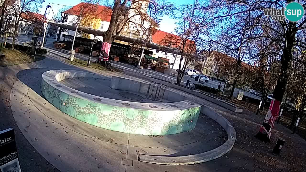 Web kamera Fontana piva – Zeleno zlato – Žalec