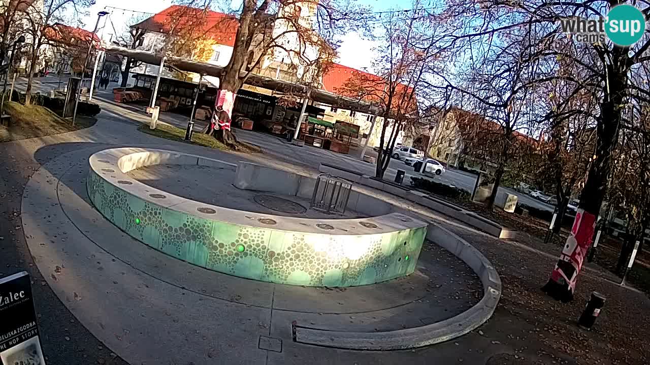 Fontana di birra Webcam – Oro verde – Žalec