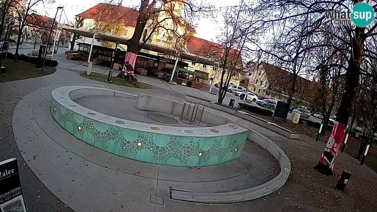 Spletna kamera Fontana Piv – Zeleno zlato Žalec