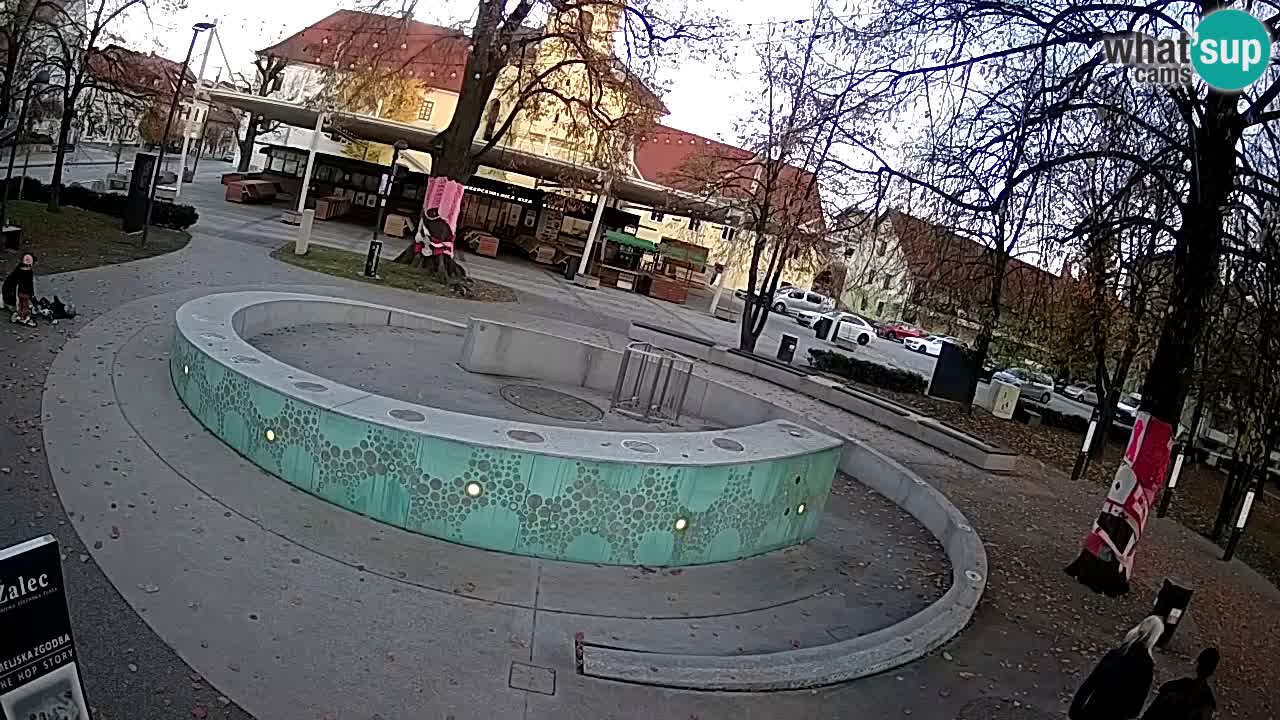 Web kamera Fontana piva – Zeleno zlato – Žalec