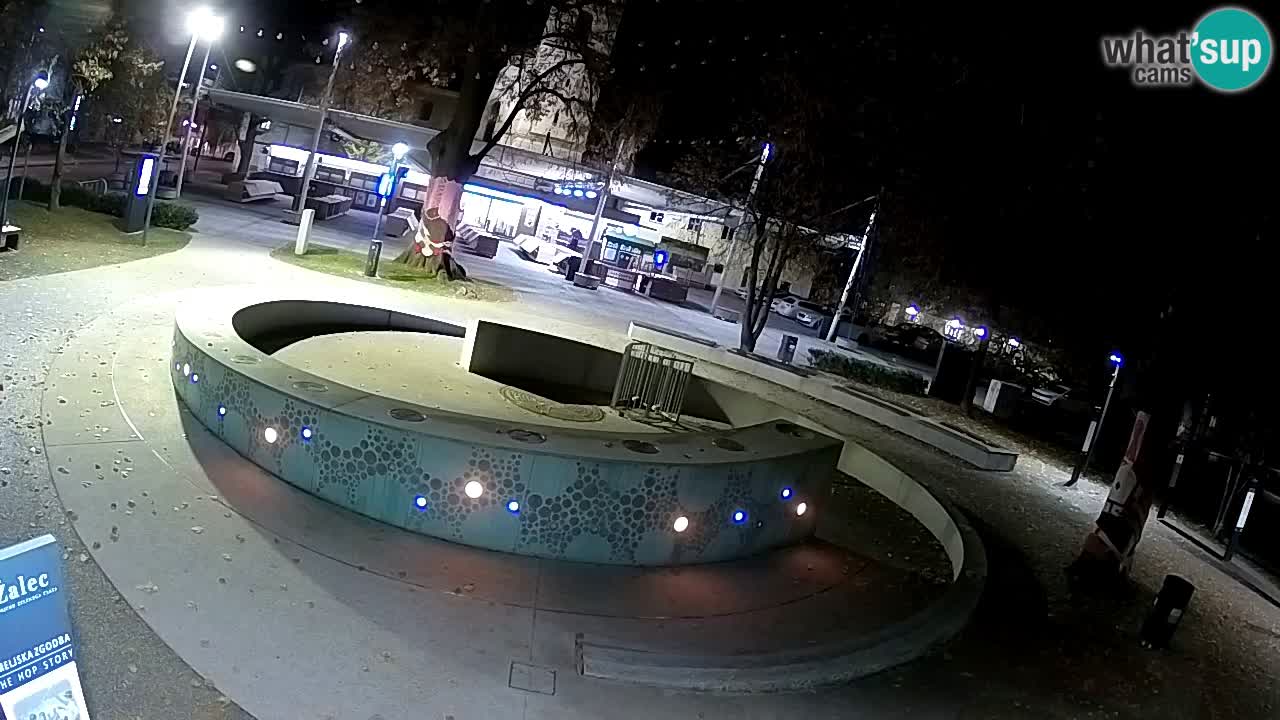 Fontaine à bière LIVE webcam – Or vert – Žalec