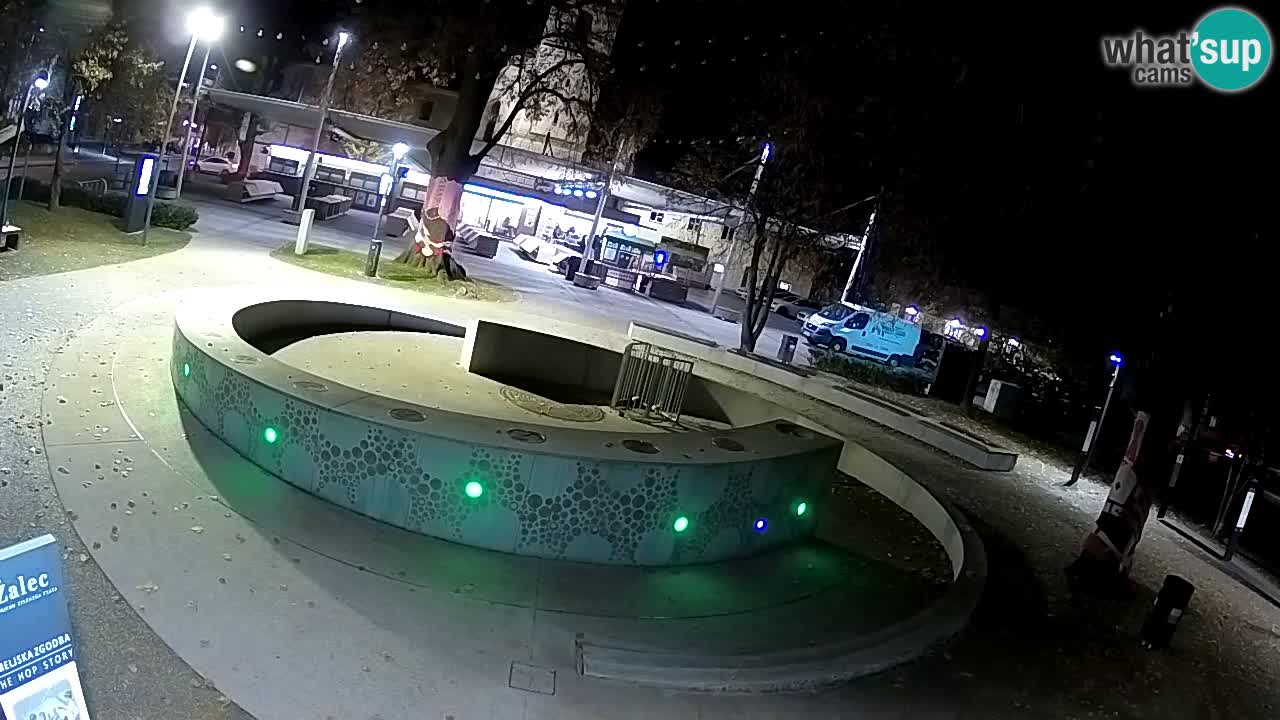 Camera en vivo Fuente de cerveza – Oro verde – Žalec