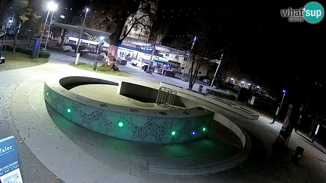Bier-Springbrunnen Webcam Žalec – Grünen Goldes