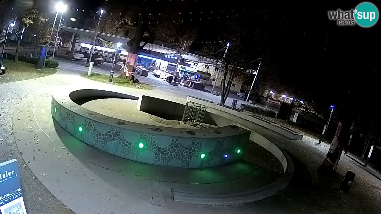 Web kamera Fontana piva – Zeleno zlato – Žalec