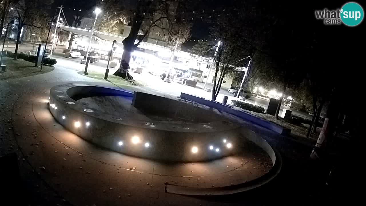 Camera en vivo Fuente de cerveza – Oro verde – Žalec