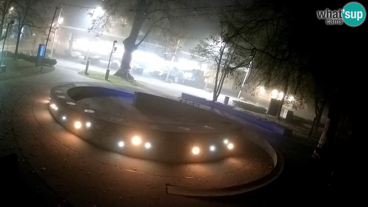 Web kamera Fontana piva – Zeleno zlato – Žalec