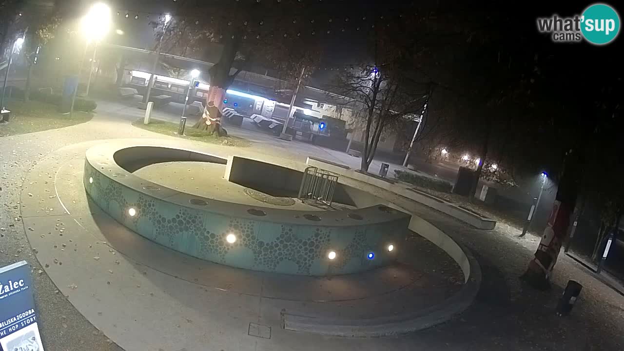 Fontana di birra Webcam – Oro verde – Žalec