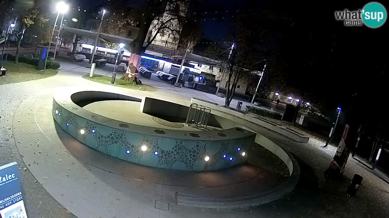Fontana di birra Webcam – Oro verde – Žalec