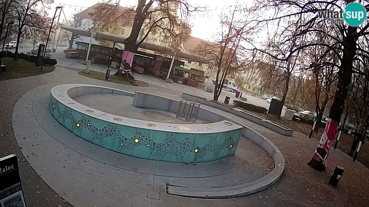 Web kamera Fontana piva – Zeleno zlato – Žalec