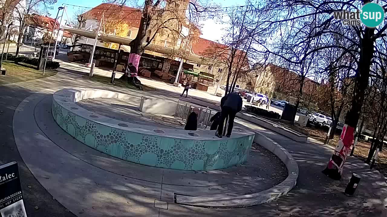 Camera en vivo Fuente de cerveza – Oro verde – Žalec