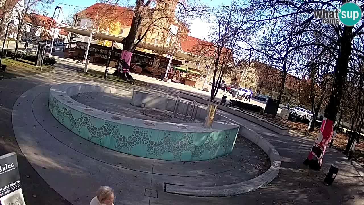 Spletna kamera Fontana Piv – Zeleno zlato Žalec