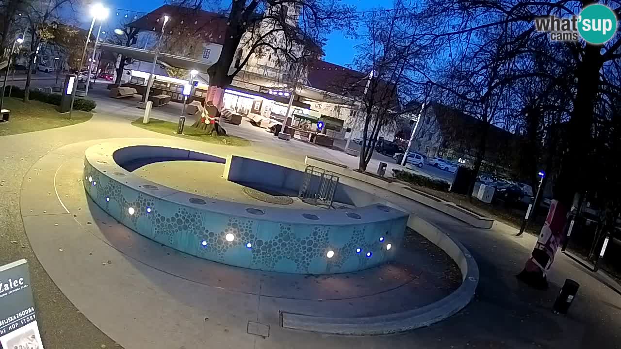 Web kamera Fontana piva – Zeleno zlato – Žalec