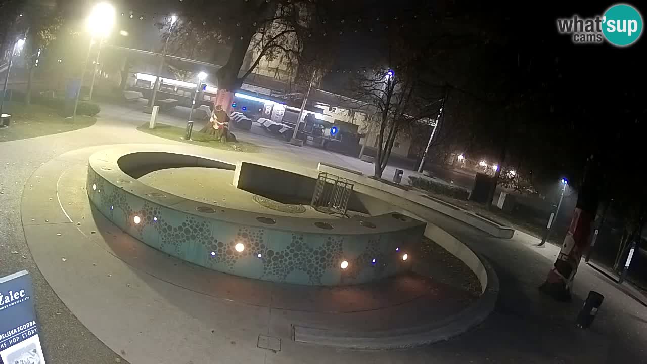 Fontaine à bière LIVE webcam – Or vert – Žalec