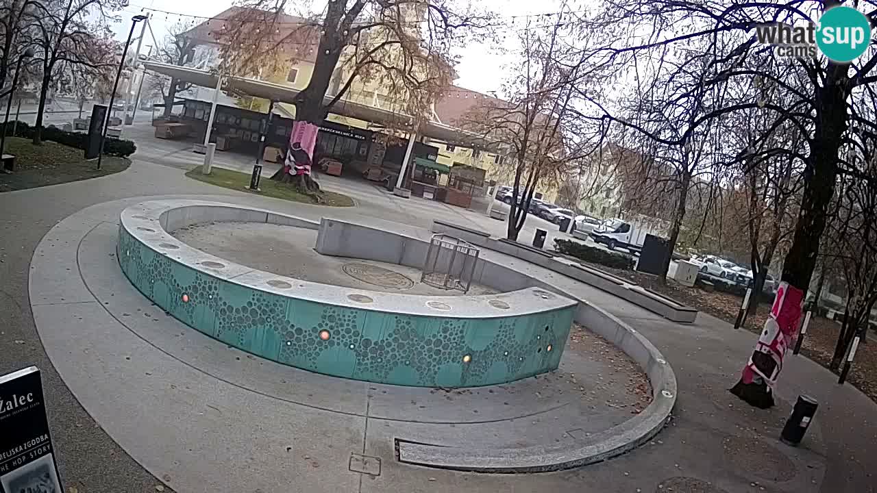Fontaine à bière LIVE webcam – Or vert – Žalec