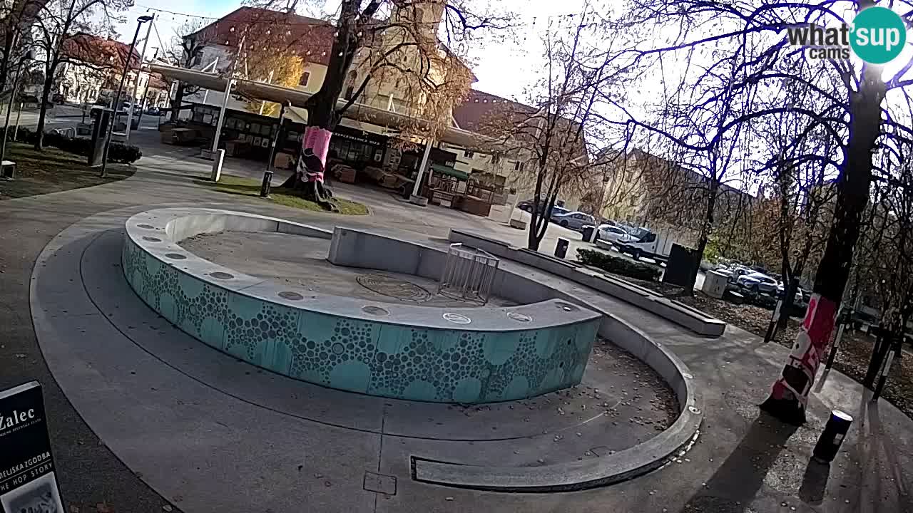 Fontaine à bière LIVE webcam – Or vert – Žalec