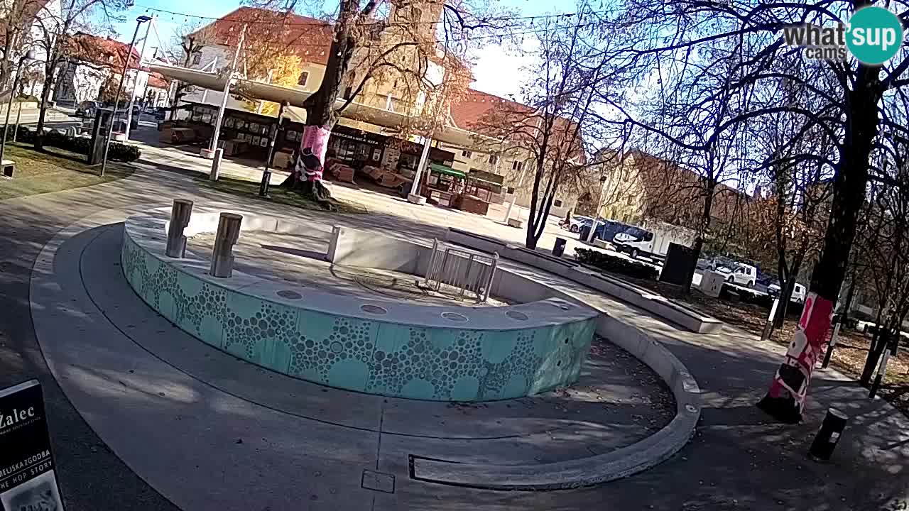 Bier-Springbrunnen Webcam Žalec – Grünen Goldes
