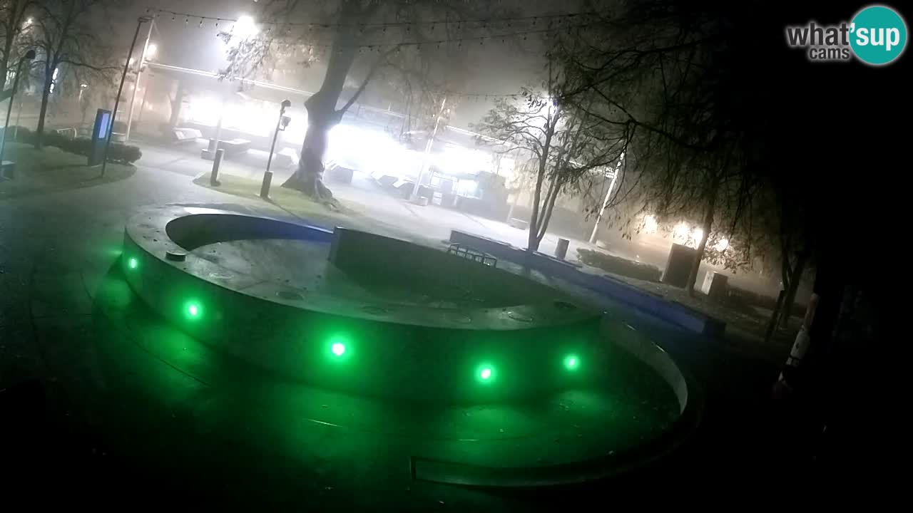 Web kamera Fontana piva – Zeleno zlato – Žalec