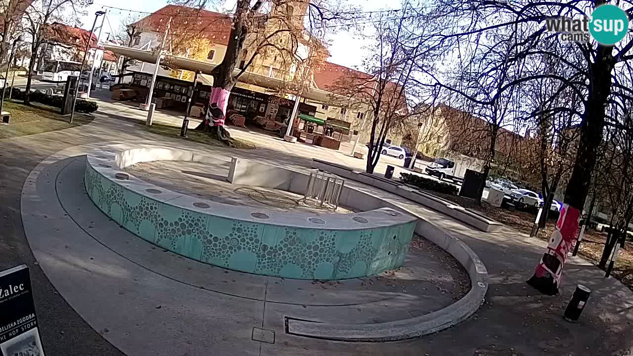 LIVEcam Beer fountain – Green Gold – Žalec – Slovenia
