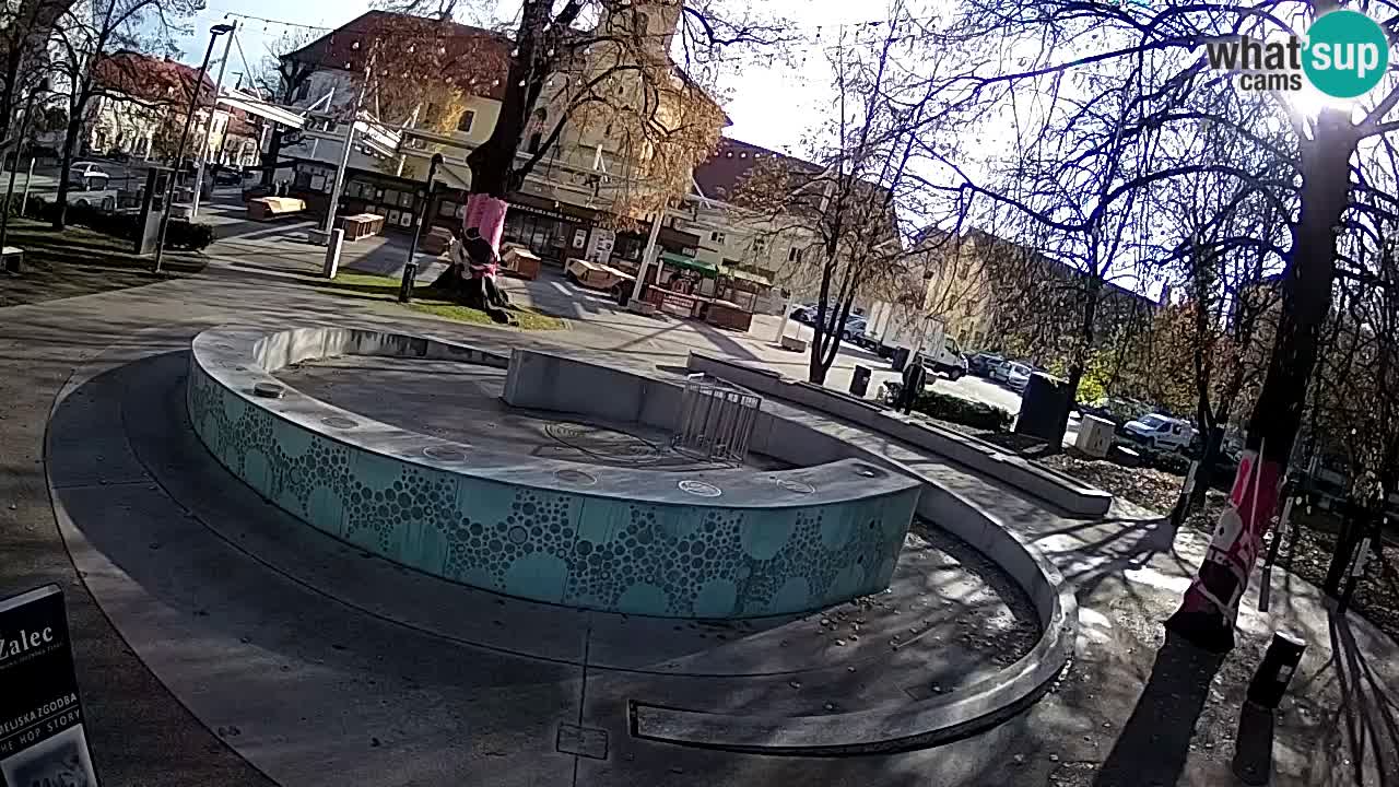 Spletna kamera Fontana Piv – Zeleno zlato Žalec