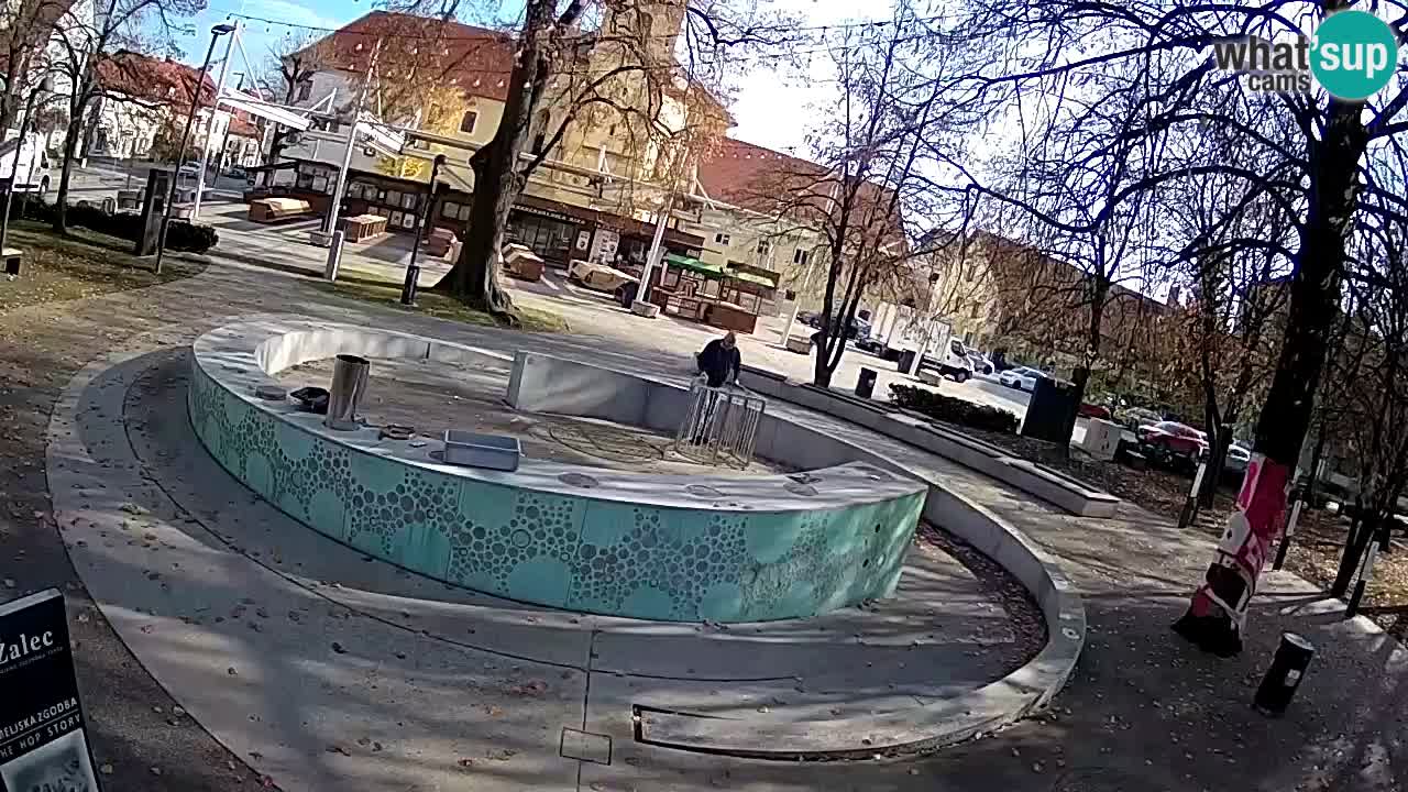 Fontaine à bière LIVE webcam – Or vert – Žalec