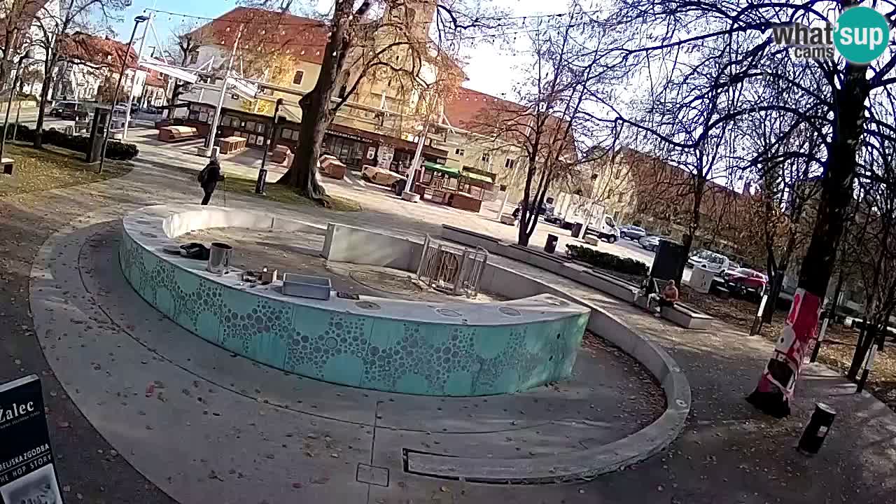 Web kamera Fontana piva – Zeleno zlato – Žalec
