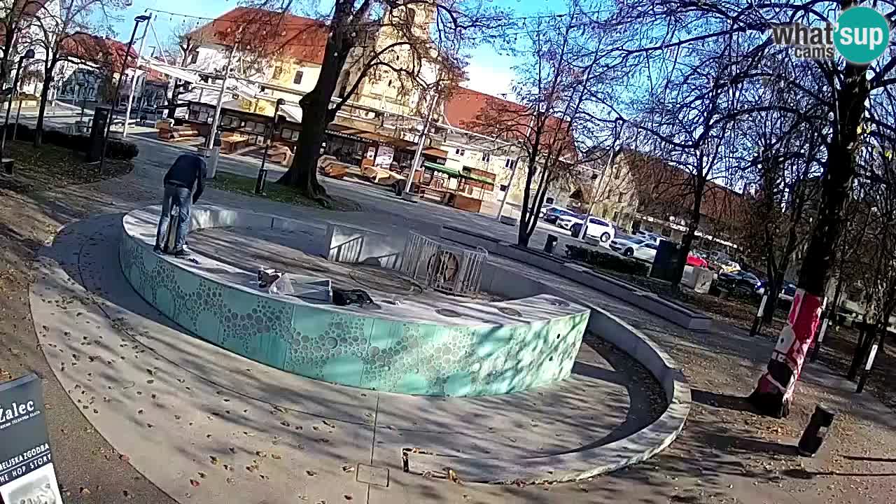 Fontaine à bière LIVE webcam – Or vert – Žalec
