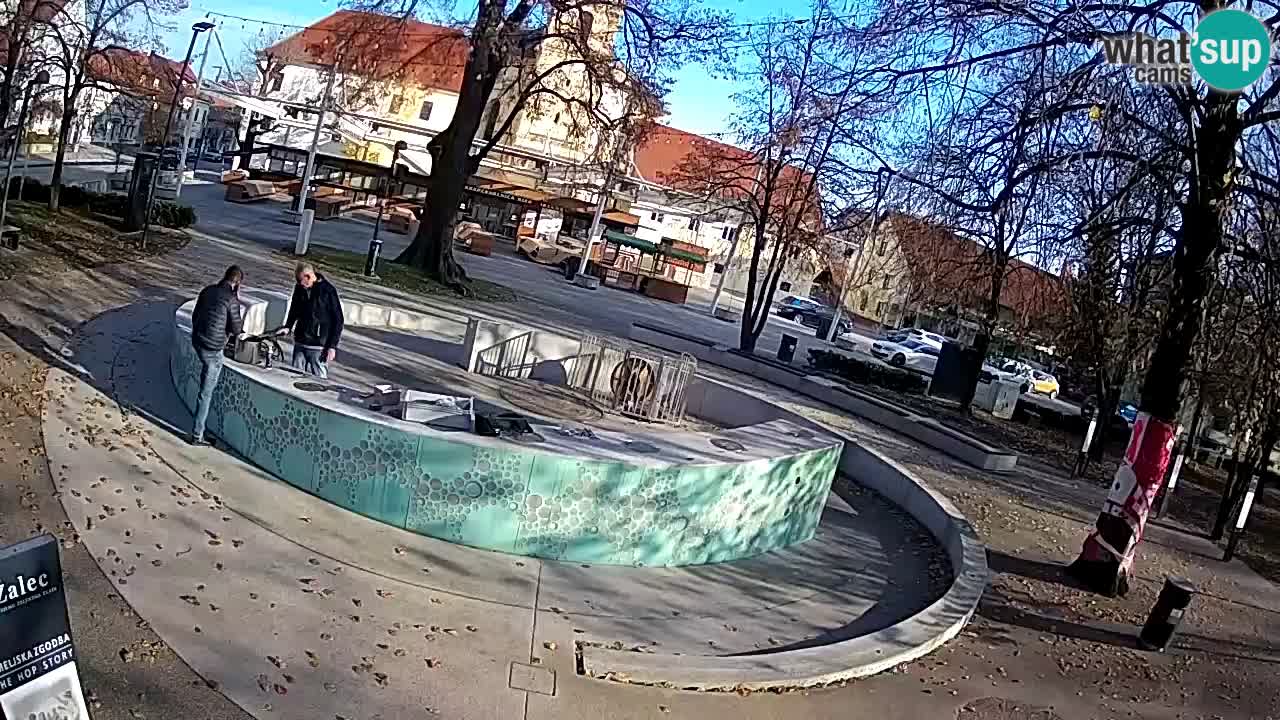 Spletna kamera Fontana Piv – Zeleno zlato Žalec