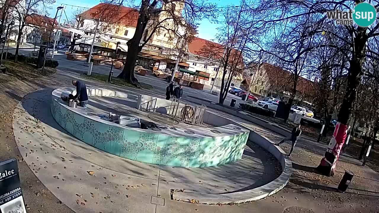 Web kamera Fontana piva – Zeleno zlato – Žalec