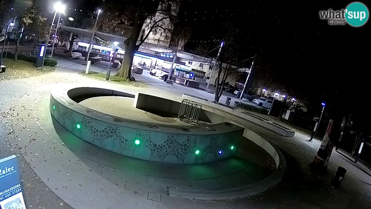 Fontana di birra Webcam – Oro verde – Žalec