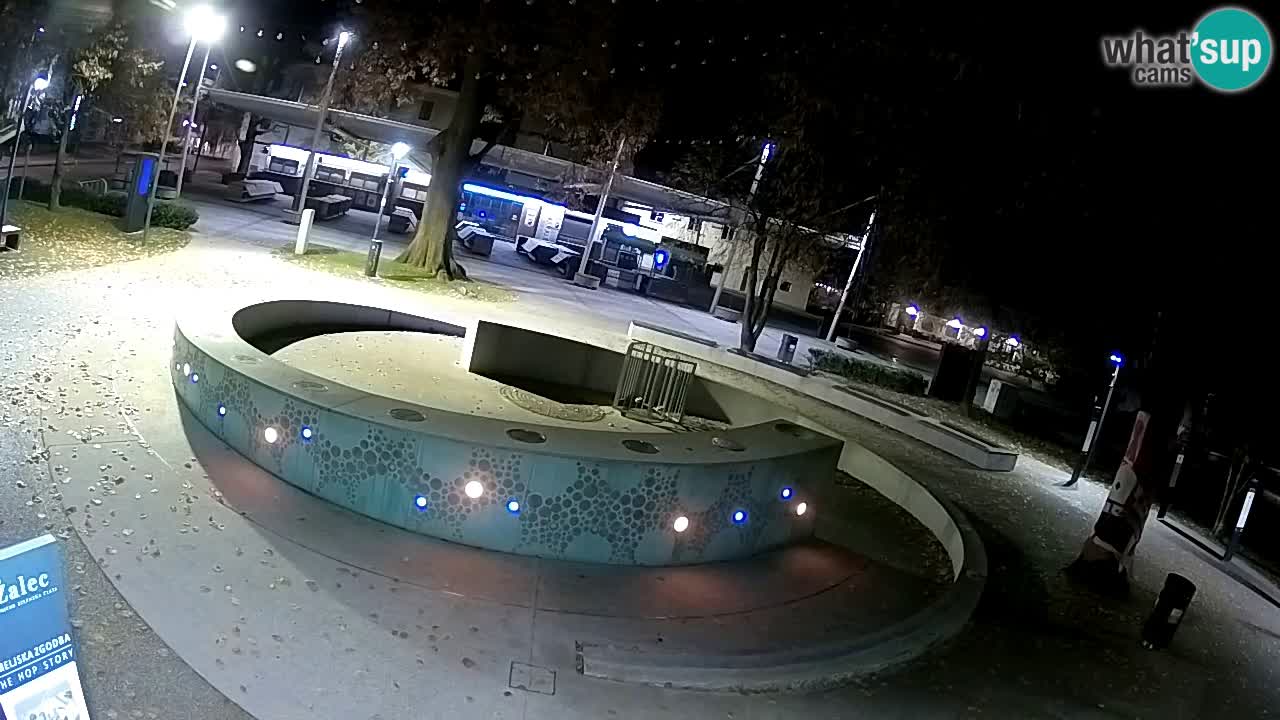 Fontaine à bière LIVE webcam – Or vert – Žalec