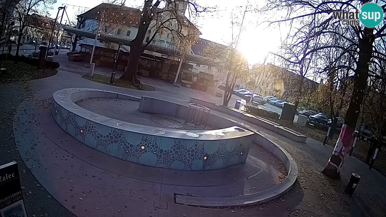 Spletna kamera Fontana Piv – Zeleno zlato Žalec