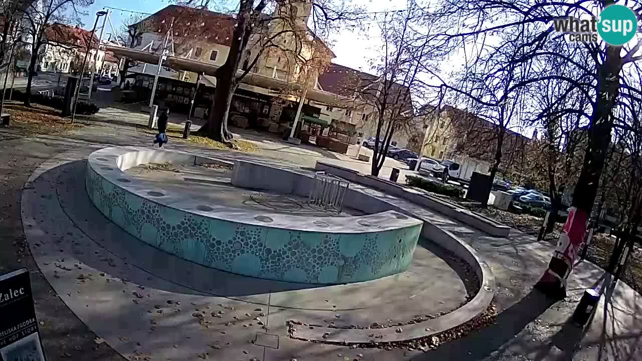 Fontana di birra Webcam – Oro verde – Žalec