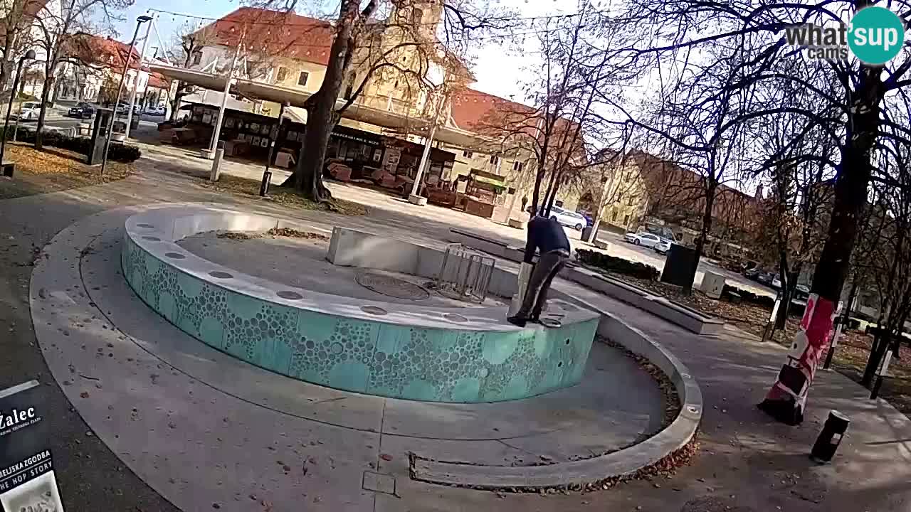 Fontana di birra Webcam – Oro verde – Žalec