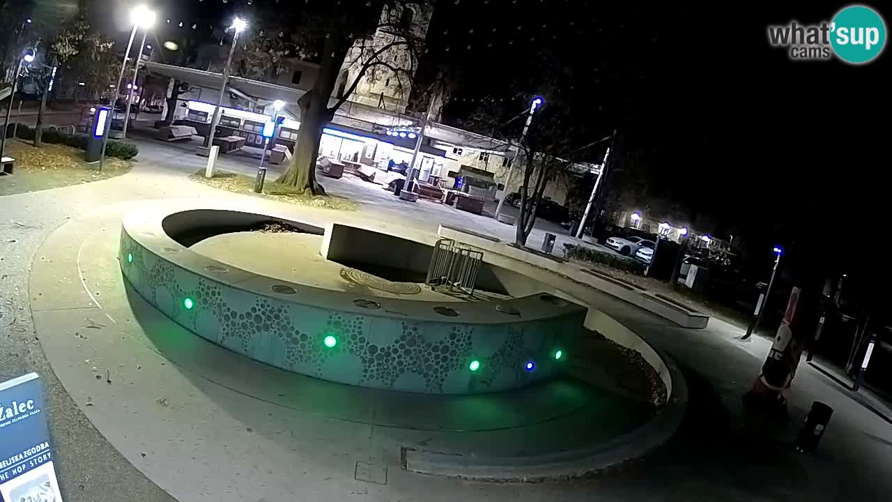 Web kamera Fontana piva – Zeleno zlato – Žalec