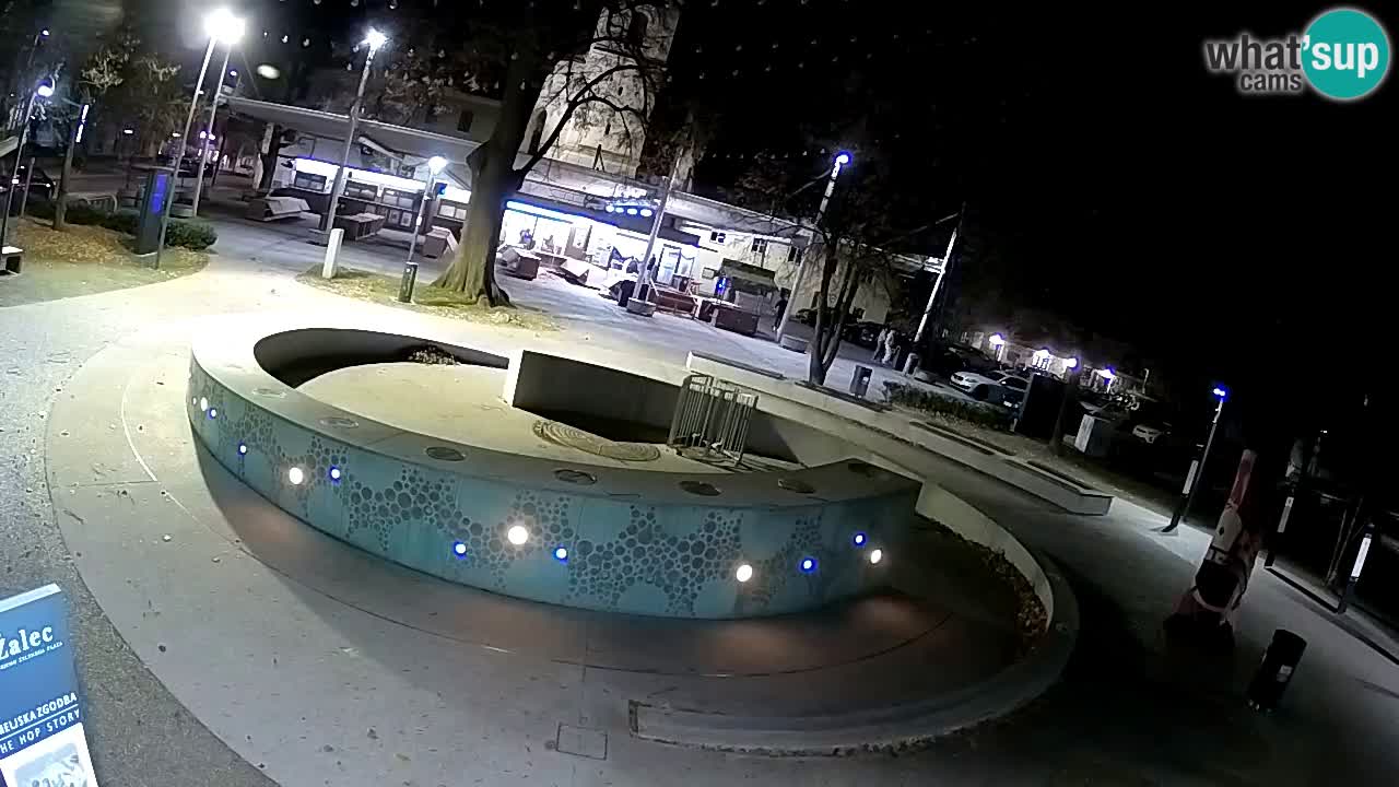 Fontaine à bière LIVE webcam – Or vert – Žalec