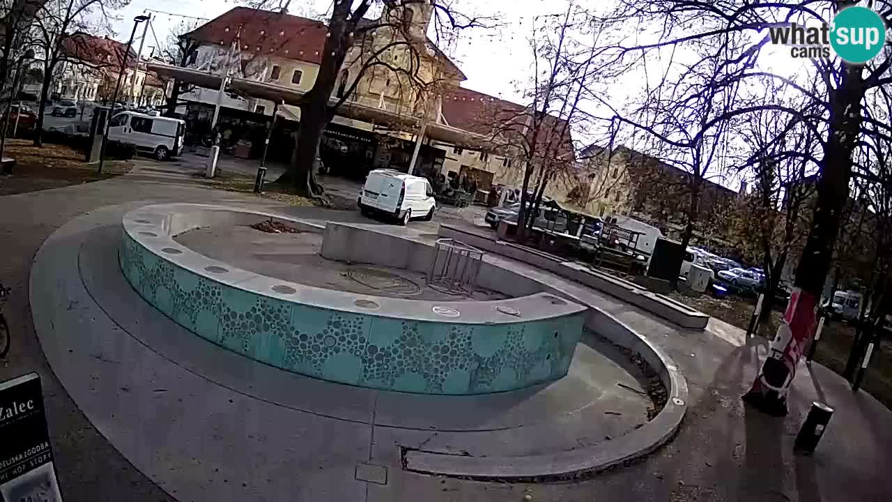 Bier-Springbrunnen Webcam Žalec – Grünen Goldes