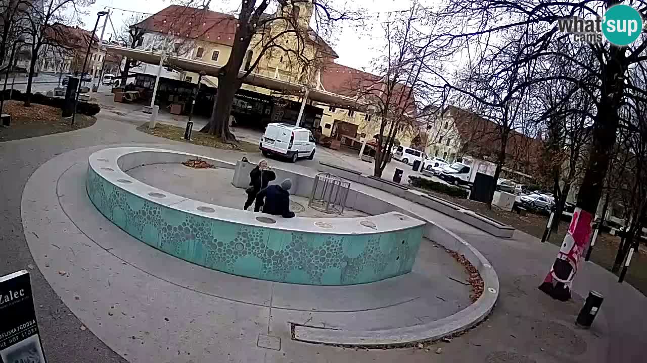 Bier-Springbrunnen Webcam Žalec – Grünen Goldes