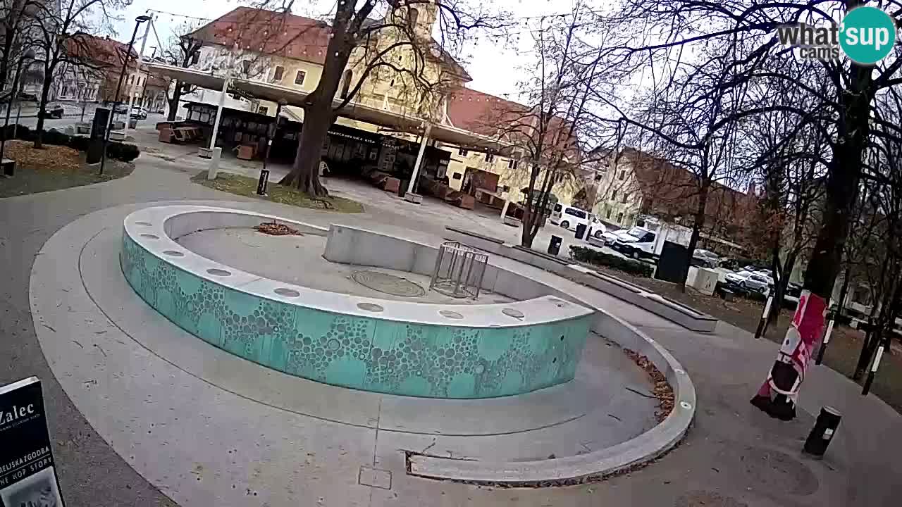 Fontana di birra Webcam – Oro verde – Žalec