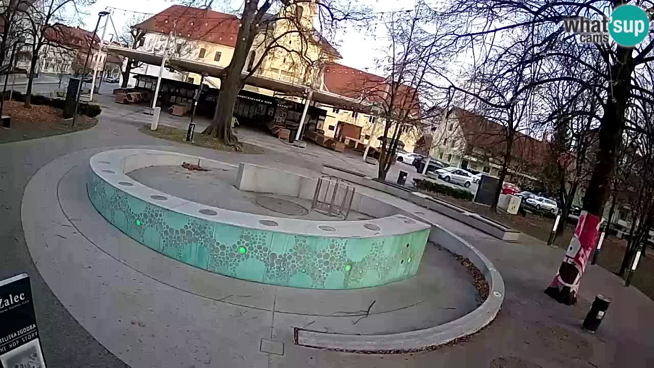 Fontaine à bière LIVE webcam – Or vert – Žalec