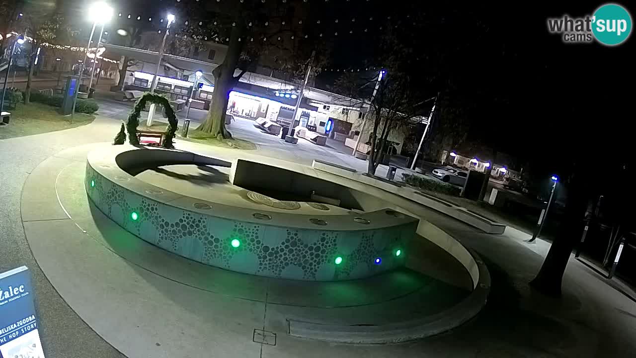 Web kamera Fontana piva – Zeleno zlato – Žalec