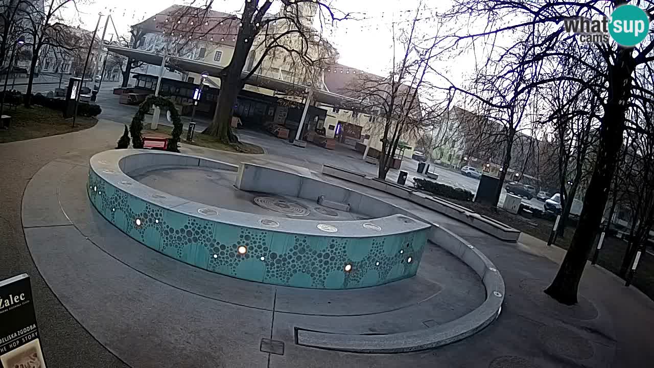 Web kamera Fontana piva – Zeleno zlato – Žalec